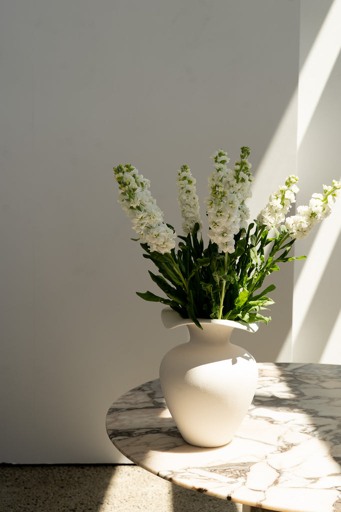 White Stock Bunch - Wild Poppies -  Flower - Same Day Flower Delivery Auckland - Auckland Flower Delivery \ Florists - boutique gift boxes
