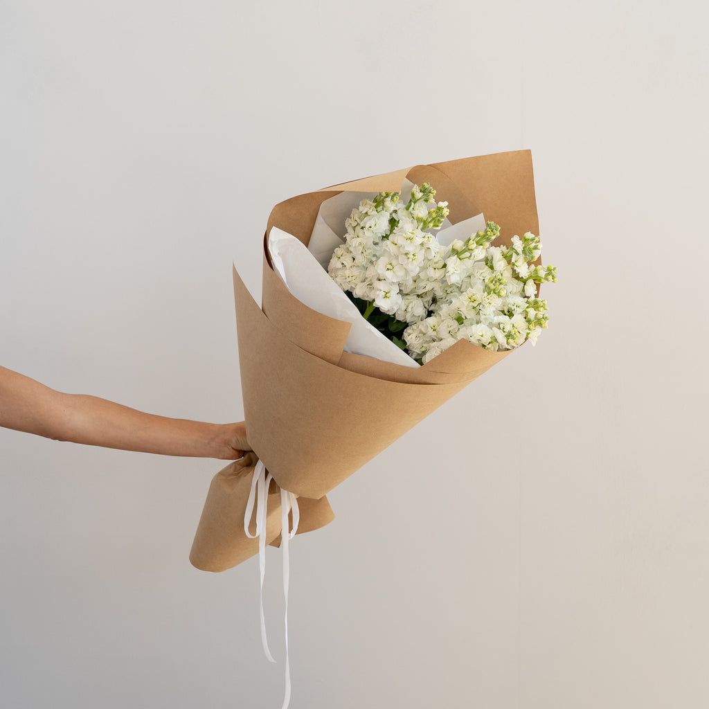 White Stock Bunch - Wild Poppies -  Flower - Same Day Flower Delivery Auckland - Auckland Flower Delivery \ Florists - boutique gift boxes
