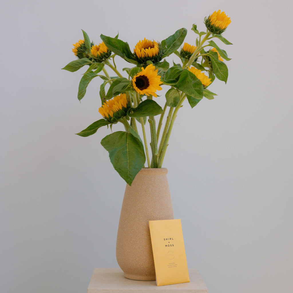 Sunflowers in vase with Shirl and Moss Chocolate