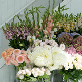 The Pastel Florists Choice Bouquet - Wild Poppies -  Flower - Same Day Flower Delivery Auckland - Auckland Flower Delivery \ Florists - boutique gift boxes 