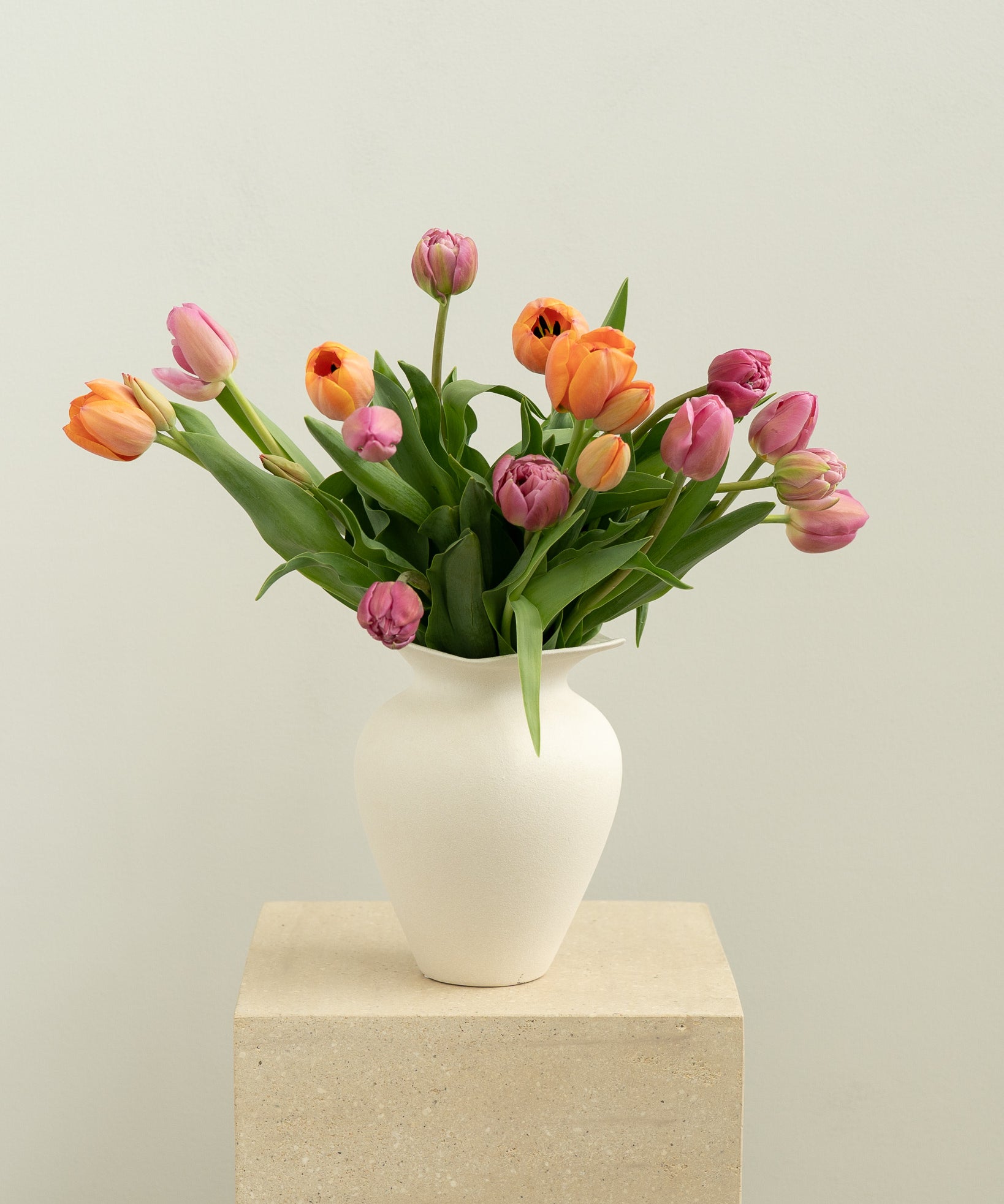 Market Mixed Tulips (Free Box of Cupcakes)