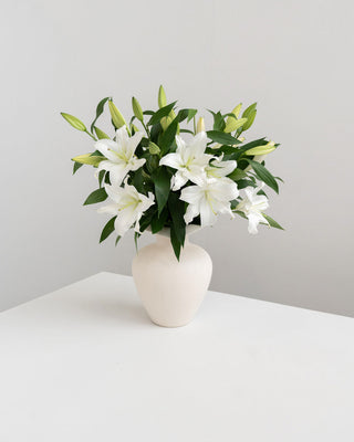 Fresh White Lilies