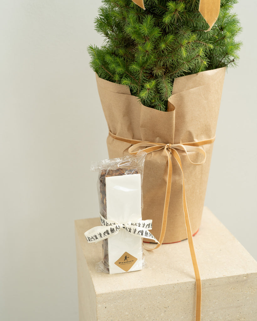 Mini Christmas Tree with Christmas Cake - Wild Poppies -  Flower - Same Day Flower Delivery Auckland - Auckland Flower Delivery \ Florists - boutique gift boxes