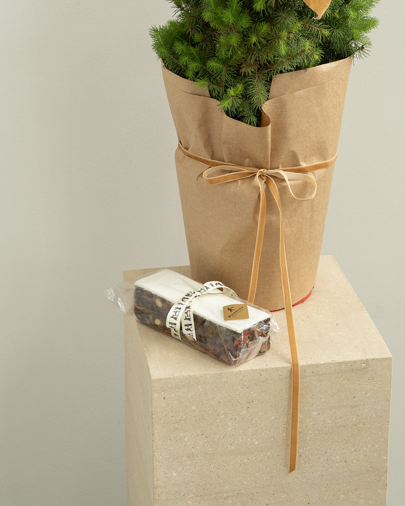 Mini Christmas Tree with Christmas Cake - Wild Poppies -  Flower - Same Day Flower Delivery Auckland - Auckland Flower Delivery \ Florists - boutique gift boxes