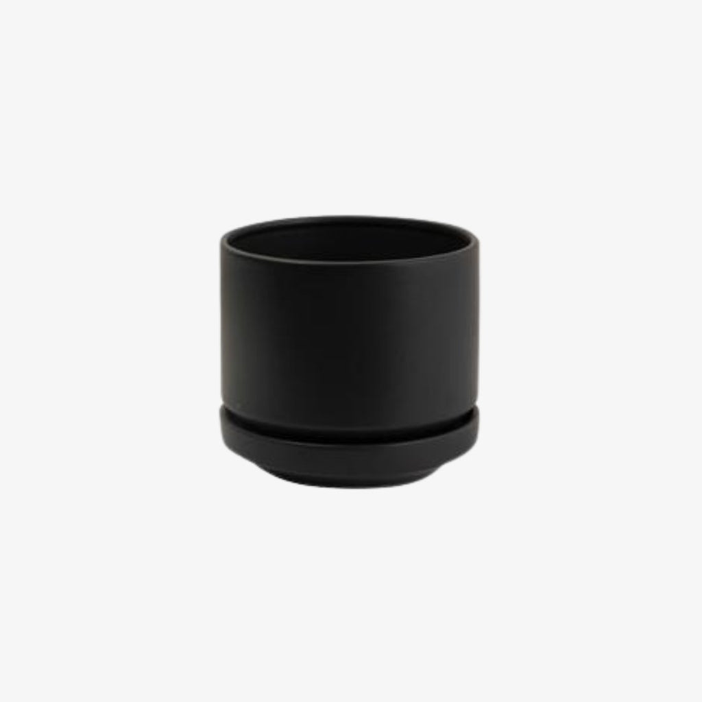 Matte Black Planter - Wild Poppies -  Add-On - Same Day Flower Delivery Auckland - Auckland Flower Delivery \ Florists - boutique gift boxes 