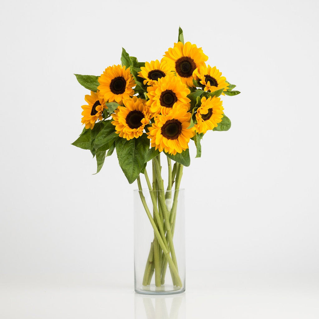 Sunflower Bouquet - Wild Poppies -  Gift - Same Day Flower Delivery Auckland - Auckland Flower Delivery \ Florists - boutique gift boxes 