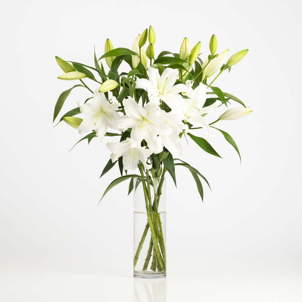 Market Fresh White Lilies - Premium Flower from Wild Poppies - Just $59! Shop now at Wild Poppies