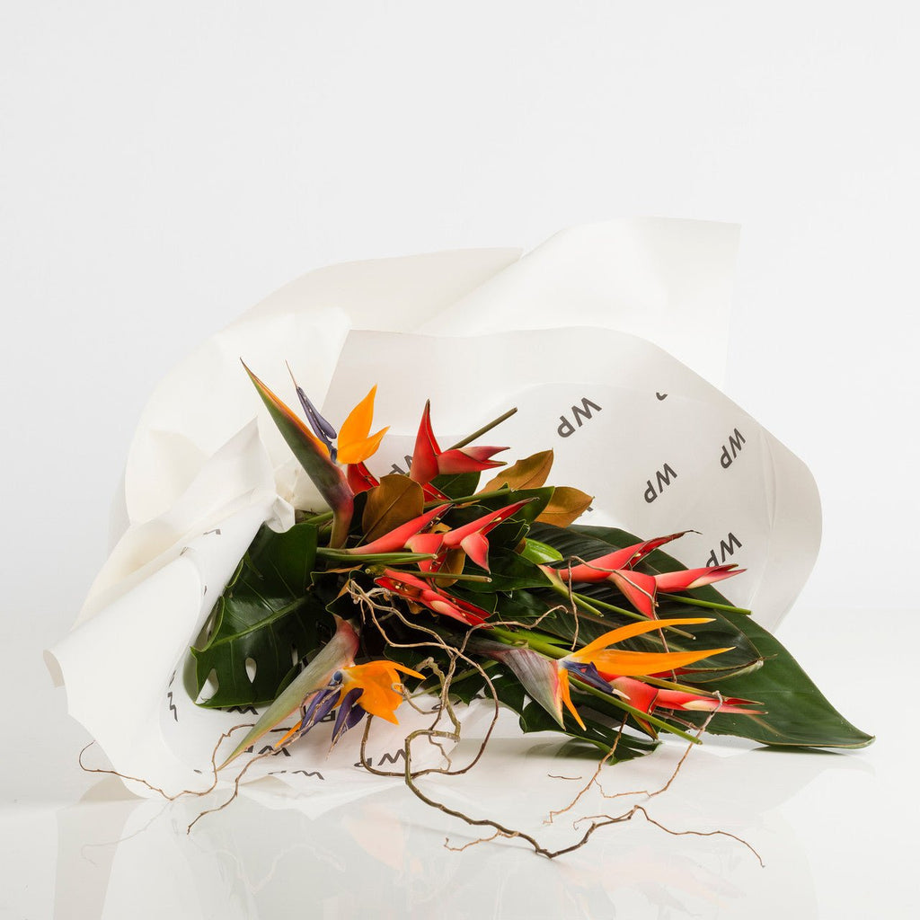 Heliconia Tropical Bouquet - Premium Flower from Wild Poppies - Just $179! Shop now at Wild Poppies